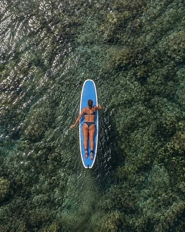 Lina - Image 8